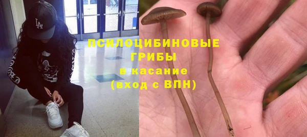 а пвп мука Иннополис