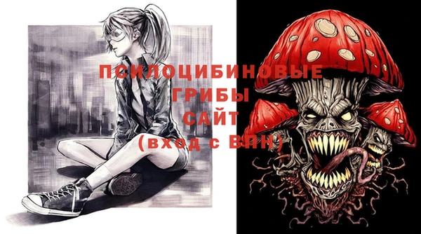 стаф Верхний Тагил