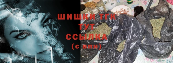 спиды Зеленокумск